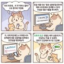아라메드 | 아플 때 참지 마세요 한글 약 이름으로 모유수유 안전성 확인하고 현명하게 대처하는 방법