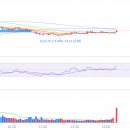 주식회사 브이피인터네셔널 | 26/03/12 매매