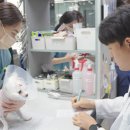 노아시스템(주) 이미지