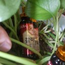 송음농장 이미지