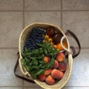 바른약국 이미지