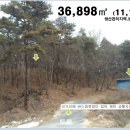 여주-0610 Daum카페