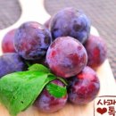 은영농원