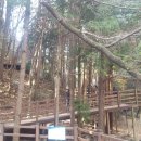 부산어린이대공원 이미지