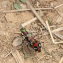 이준호농장 이미지