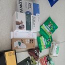 딜라잇펫 | 메가주 일산 펫페어 2025 하반기 후기 제품