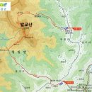 998 이미지