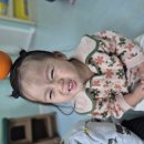 12/18🍊Tangerines 귤을 수확해요! 이미지