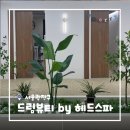 사임당로18길 58 (1) | [서울/구의] 구의역두피관리 드림뷰티 by 헤드스파 두피 스케일링케어 후기