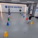 용인대 매교태권도장 | 매교 태권도 &#39;용인대매교태권도장&#39; 아이 운동신경 발달 도움 후기