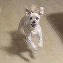 해뜨는 동물병원 이미지