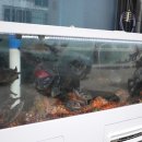 아침바다식당 이미지