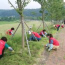 봉화여성 이미지