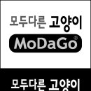 푸른솔미술학원 이미지