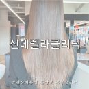 댕댕살롱앤스파 | 안산미용실 살롱드로웰미 위그&amp;붙임머리 신데렐라클리닉 빛나는 머릿결 복구 후기