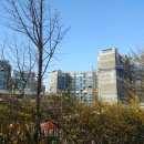 신남초정문 이미지