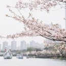 경주펜션이야기ing