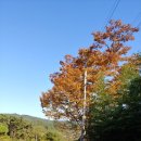 편백나무펜션 이미지