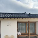 스테이 띠앗 이미지