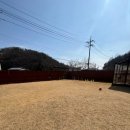 풍경운동장 | 양평 애견 운동장 뛰어놀개 프라이빗운동장 대관 추천후기