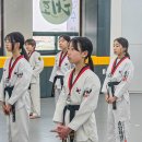 송암태권도장 이미지