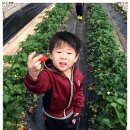 무내미농장 이미지