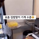 요즘 김밥말이 기계 ㄷㄷ 이미지