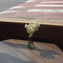 서귀포시청2청사 앞 | 제주 서귀포시청 근처 빵집 올리브브레드 내돈내산 솔직후기