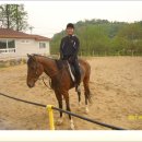 훼밀리승마클럽 이미지