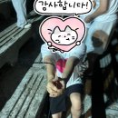 해송커플펜션 이미지