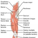 이천쌤 바디클리닉 이미지