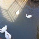 전남도청비둘기어린이집 이미지