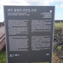 제주 월령리 선인장군락 이미지