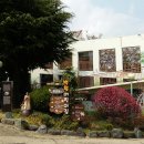 백합보육원 이미지