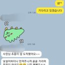 신비돌스 랙돌 캐터리 이미지