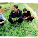 은인농장 이미지