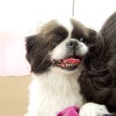 샘물나라