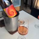 뉴트(Neut) | 뉴트 Neut