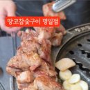 청개구리 노래연습장 이미지