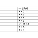 영 복사