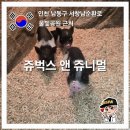 쥬니멀 | 인천가볼만한곳 인천실내동물원 쥬벅스 앤 쥬니멀 후기