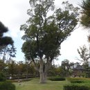 부산시민공원 이미지