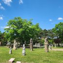 낭만술꾼 이미지