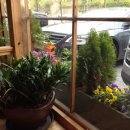 수원-0503 이미지