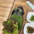 주정차46 | 비전동 맛집 개화 우렁 쌈밥 내돈내산 솔직후기 (제육은 비추)