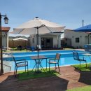 더스테이 골드독 이미지