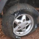 타이어사자 이미지