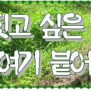 퍼머컬쳐 이미지