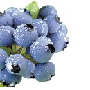 삼봉농장 이미지