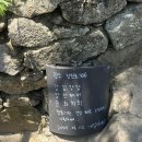 양한모이비인후과의원 네이버블로그